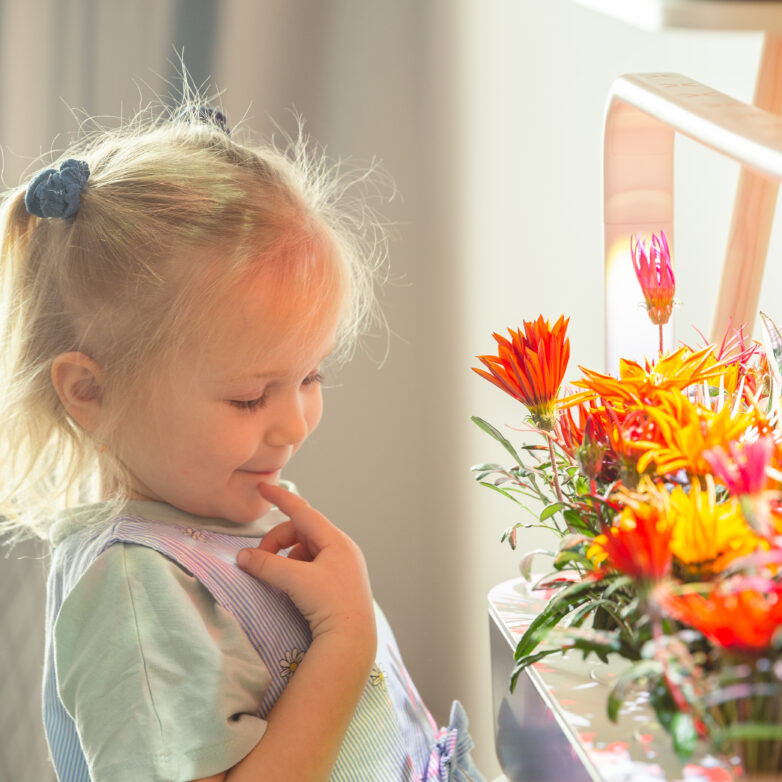 Child interacting with flowers on Click & Grow smart garden
