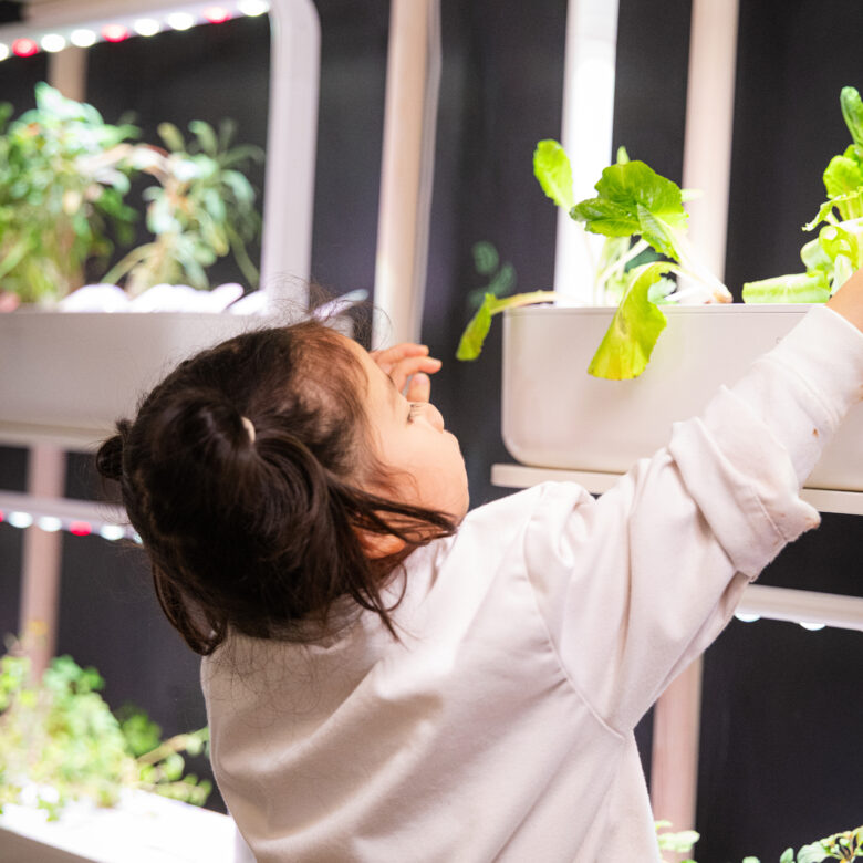 LKA student picking herbs from living food wall