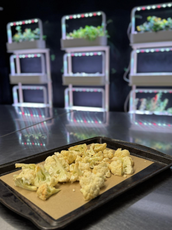 healthy cauliflower soup recipe cooked with kids