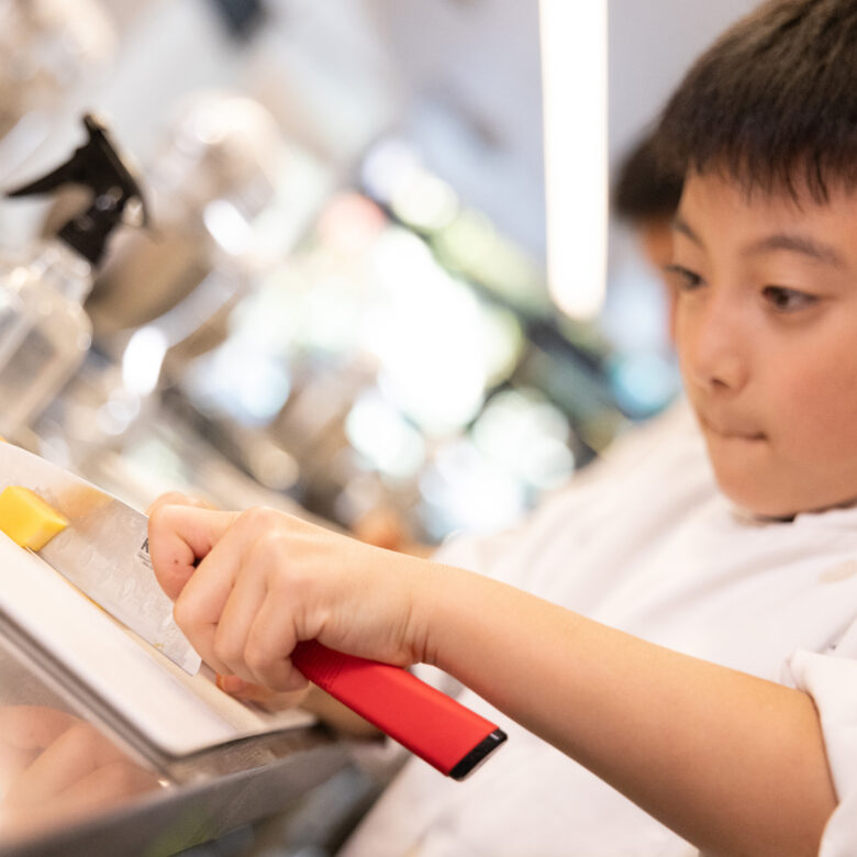 LKA Progressive Knife Set